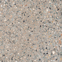 Earth Mosaic